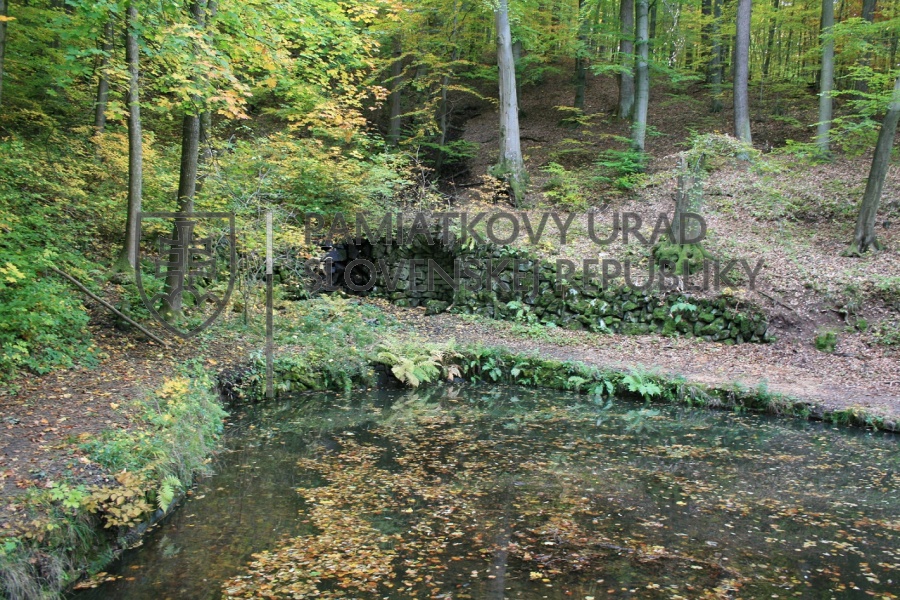 Identifikačná fotografia